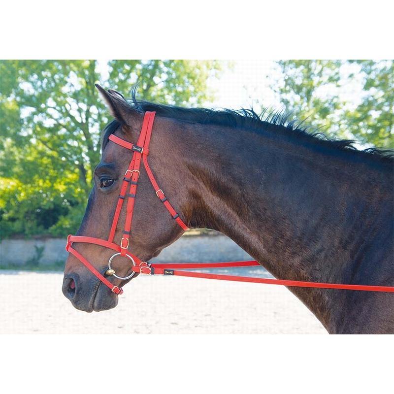 Biotack Bridon - SHOP HORSE